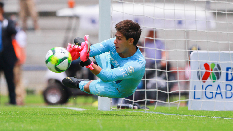 leonardo tapia signs with smww