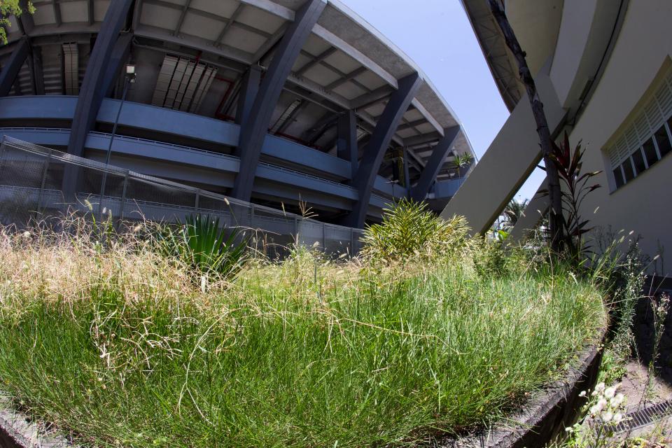 maracena stadium in brazil